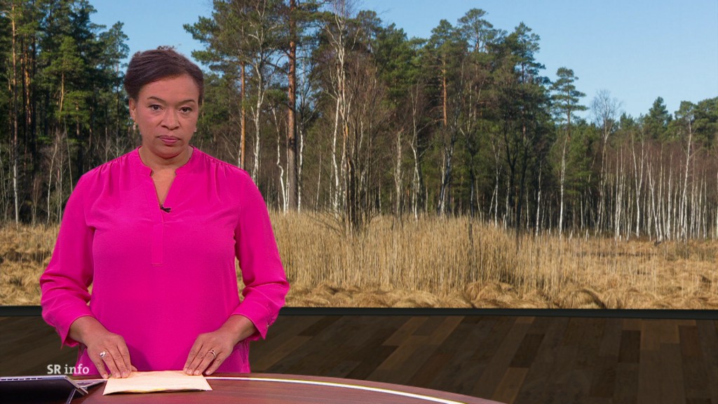 Foto: Sarah Sassou im Studio