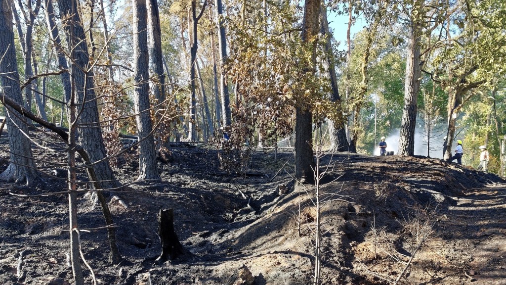 Brandwache im Wald zwischen Ottweiler und Steinbach