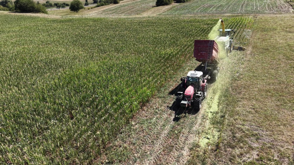 Foto: Traktor bei der Ernte