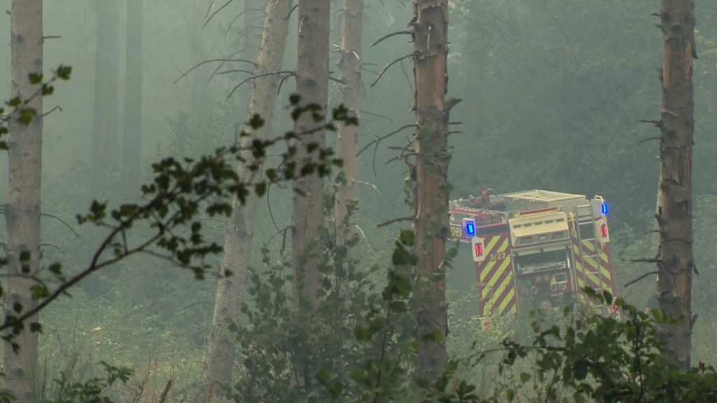 Foto: Löscharbeiten der Feuerwehr bei Waldbrand in Illingen