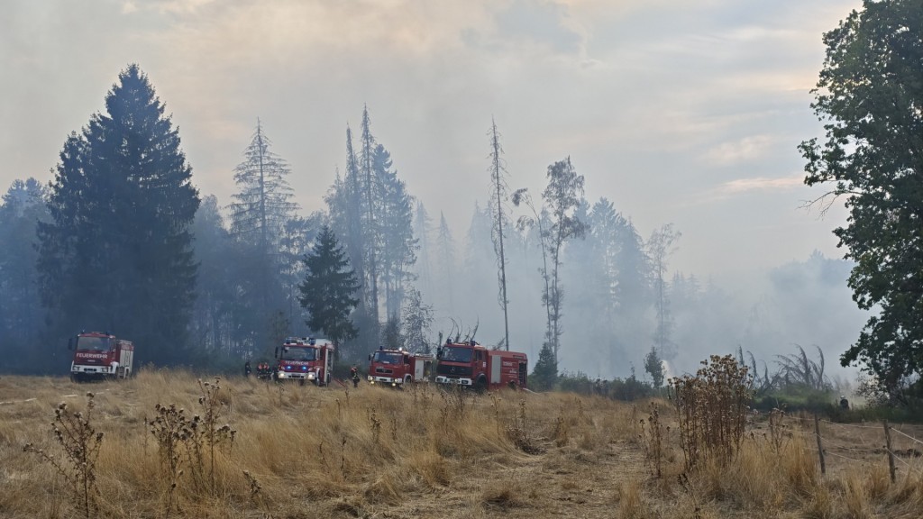 Foto: Löscharbeiten der Feuerwehr bei Waldbrand in Illingen