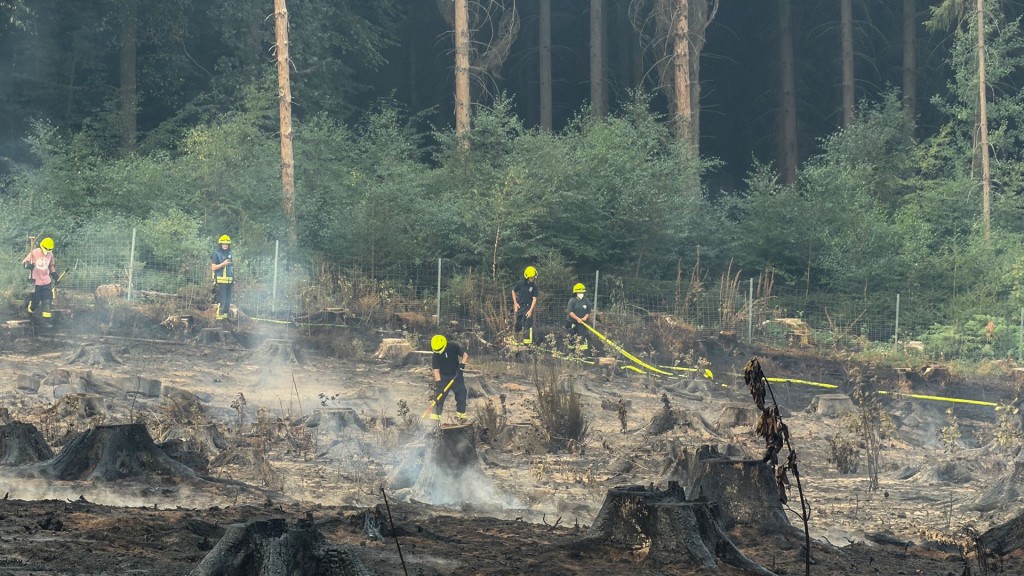 Foto: Löscharbeiten der Feuerwehr bei Waldbrand in Illingen