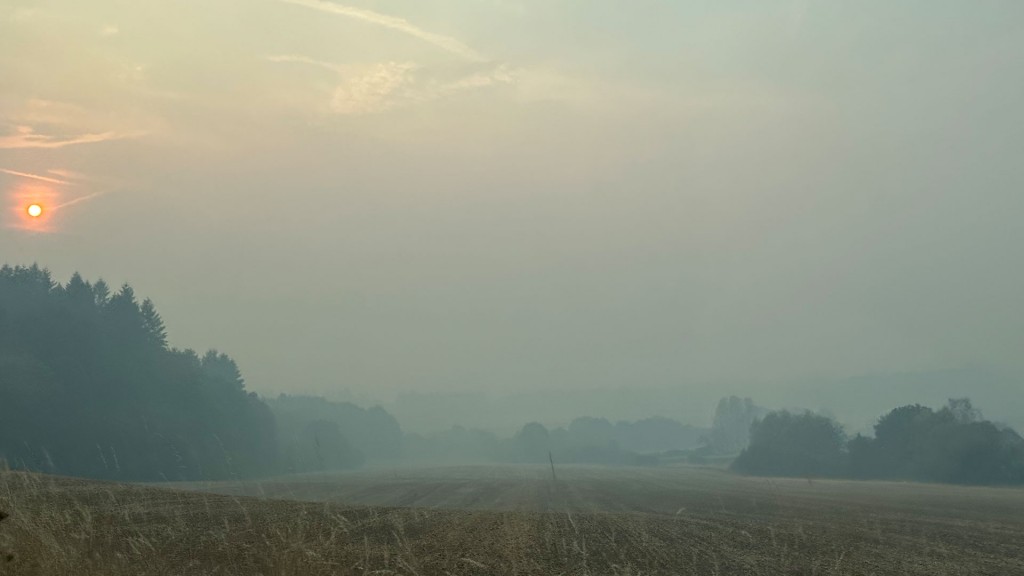 Rauch über einem Feld zwischen Selbach und Theley