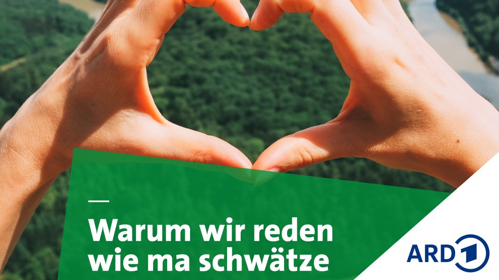 Grafik SR Warum wir so reden
