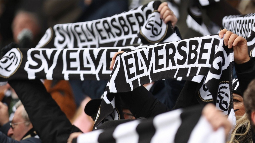 SVE Fans