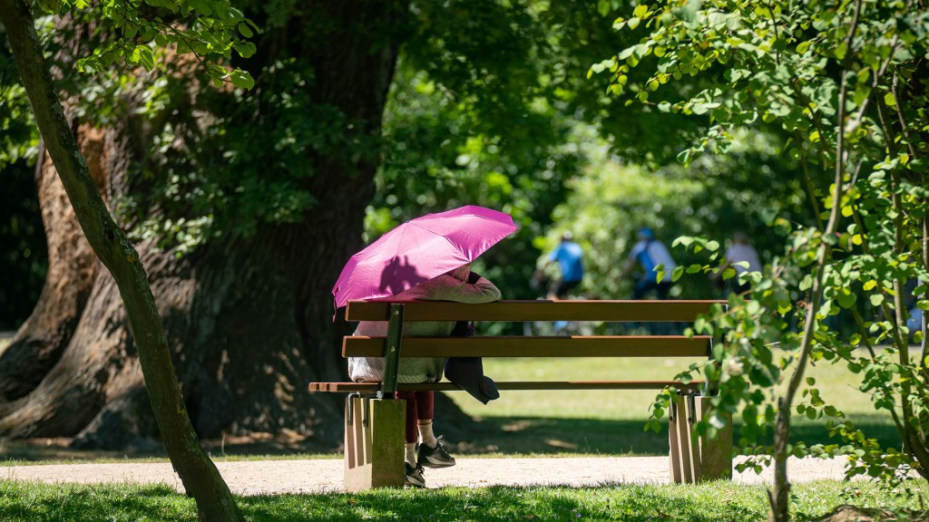 Foto: Sommerliche Temperaturen im Park