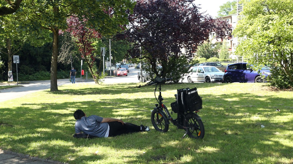 Jemand liegt neben einem Fahrrad auf einer schattigen Wiese im Park