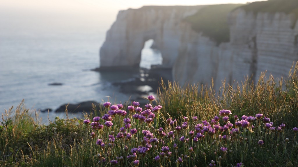 Küstenlandschaft in der Normandie