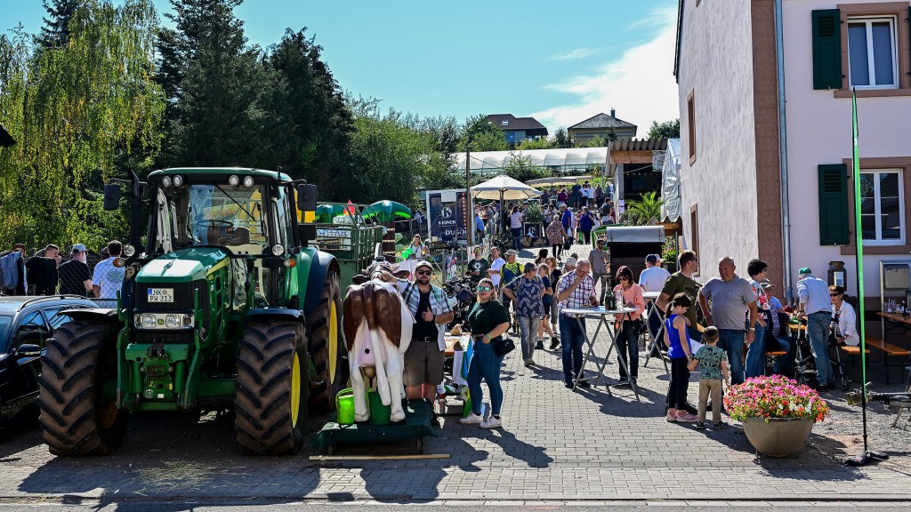 Die SR 3 Landpartie auf dem Gemüsehof in Bubach-Calmesweiler 2026