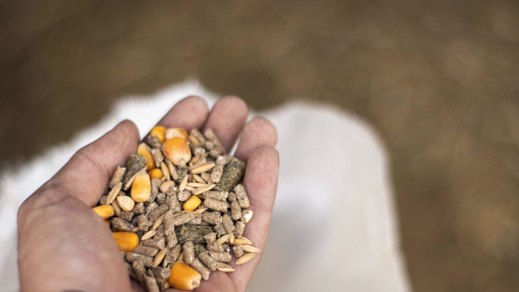 Foto: Nahaufnahme der Hand eines Landwirts, die Viehfutter in der Handfläche hält