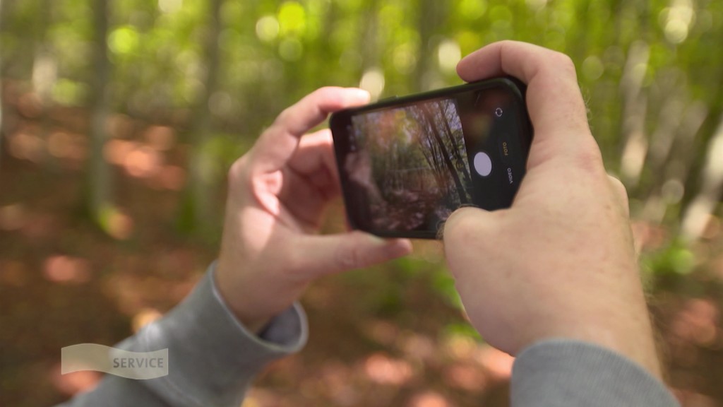 Foto: Zwei Hände halten ein Mobiltelefon im Querformat um ein Bild von einem Wald zu machen