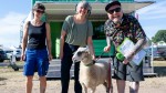 SR 3 Markttag in Webenheim