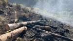 Foto: Waldstück bei Nonnweiler ist abgebrannt 