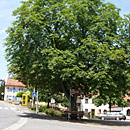 Dorfplatz von Heckendalheim