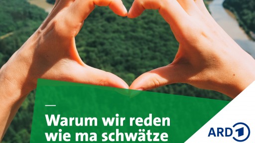 Grafik SR Warum wir so reden
