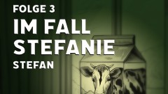 Im Fall Stefanie - Folge 3