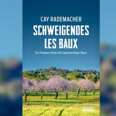 Cay Rademacher: „Schweigendes Les Baux“